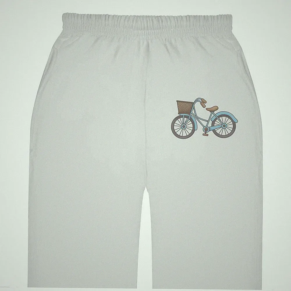dutch bicycle with basket