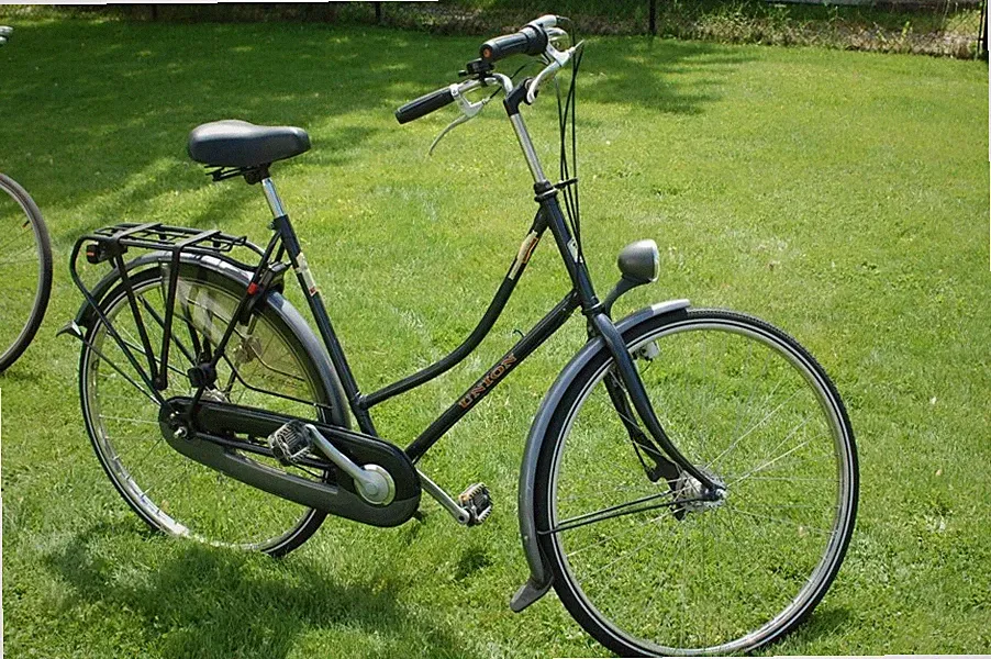 DUTCH UNION VIA VIA WOMEN'S LADIES 4 SPEED CRUISER BICYCLE BIKE