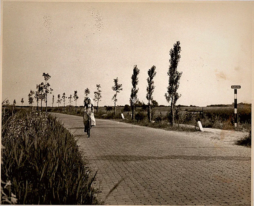 GA203 Original Photo DUTCH GIRL RIDING BICYCLE ON COBBLESTONE ROAD IN HOLLAND
