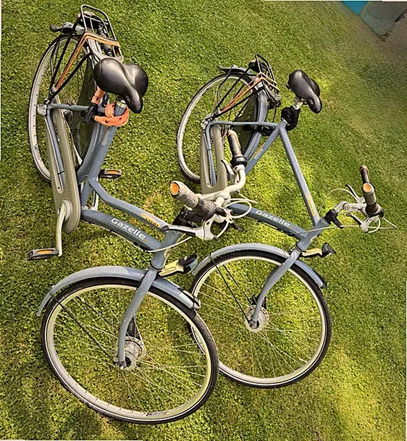 GAZELLE LYON 3 SPEED CITY DUTCH HIS & HERS BIKES