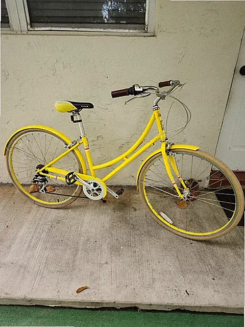 PUBLIC C7 Small/Medium Women's Dutch City Bike
