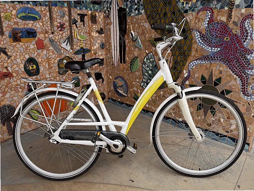 Sparta Pallas Dutch city bike 7 internal gears aluminum frame