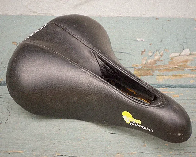 Terry Liberator Vintage Road Bike Cutaway Cutout Ladies Women Italy Selle Italia